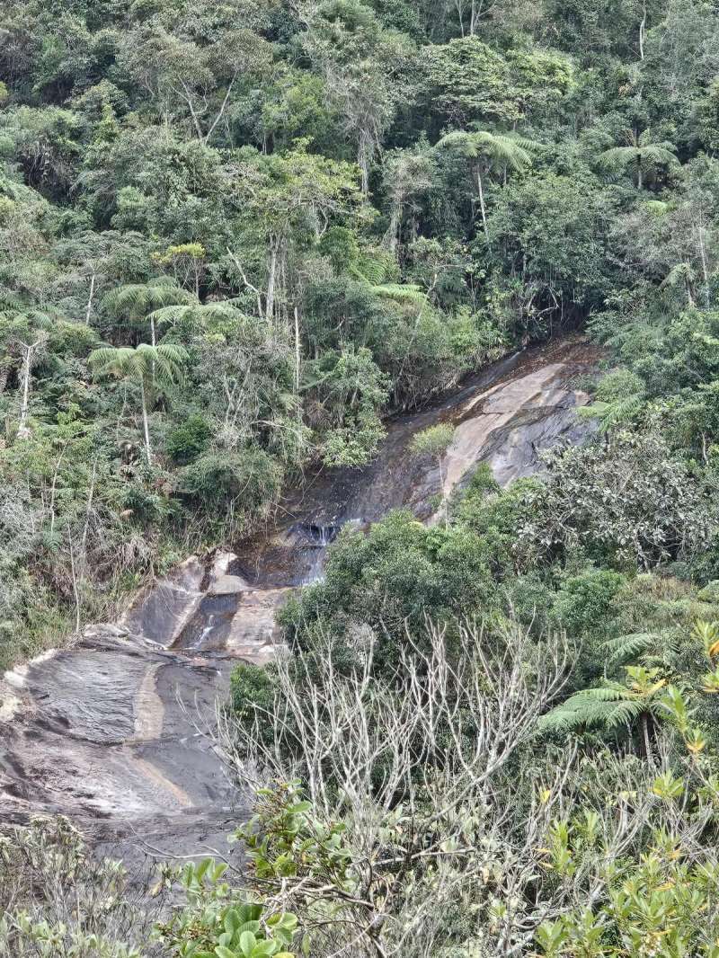 Fazenda à Venda no bairro Zona Rural em Rio Preto imagem 4
