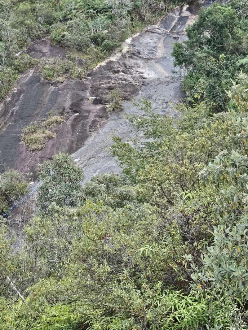 Fazenda à Venda no bairro Zona Rural em Rio Preto imagem 1