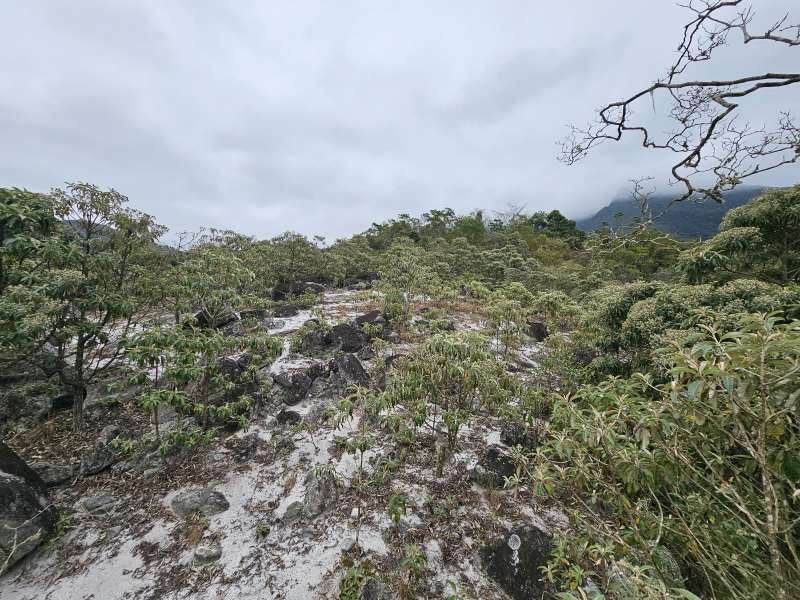 Fazenda à Venda no bairro Zona Rural em Rio Preto imagem 13