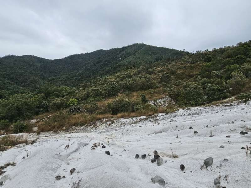 Fazenda à Venda no bairro Zona Rural em Rio Preto imagem 24