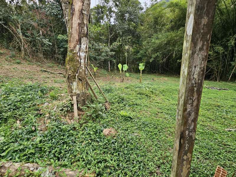 Fazenda à Venda no bairro Zona Rural em Rio Preto imagem 14