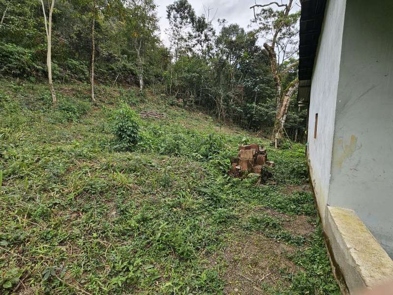 Fazenda à Venda no bairro Zona Rural em Rio Preto imagem 6
