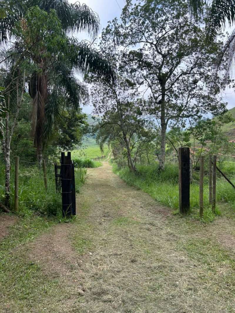 Sítio à Venda no bairro QUIRINO em Valença imagem 5