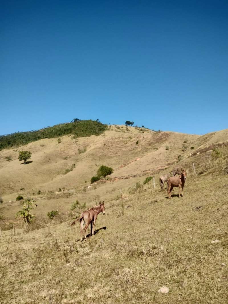 Sítio à Venda no bairro QUIRINO em Valença imagem 2