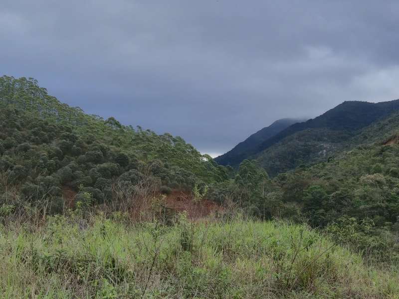 Terreno à Venda no bairro Zona Rural em Rio Preto imagem 24