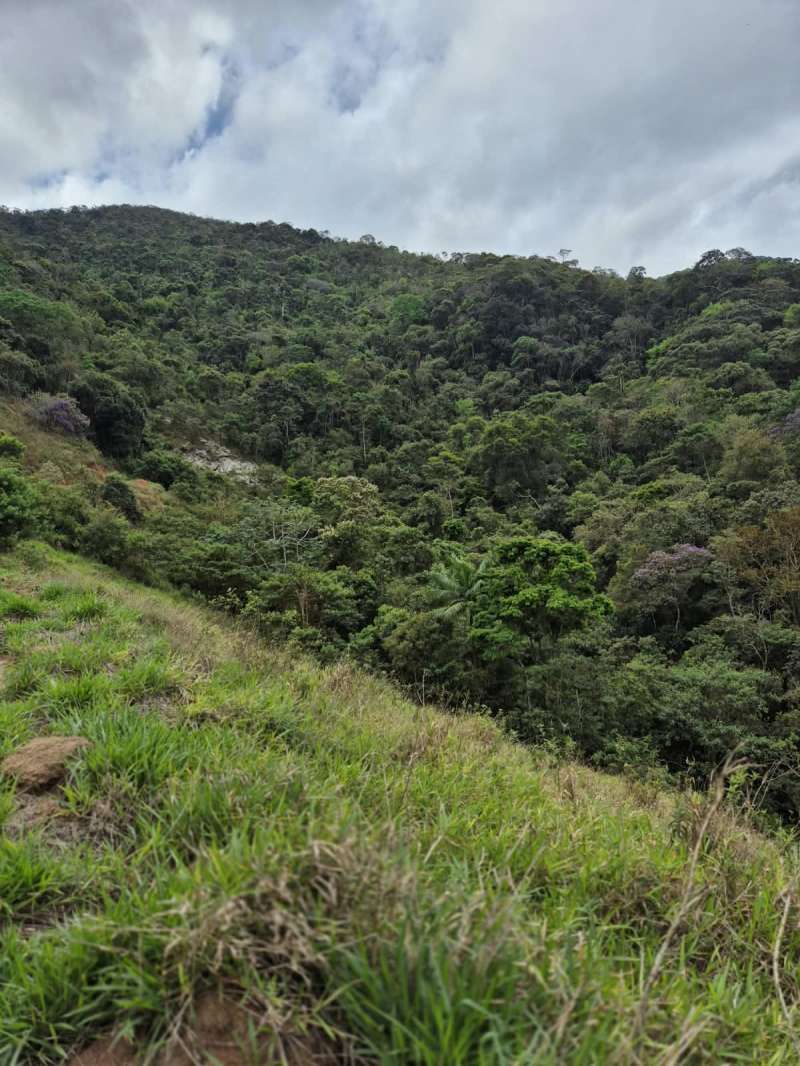 Terreno à Venda no bairro Zona Rural em Rio Preto imagem 3