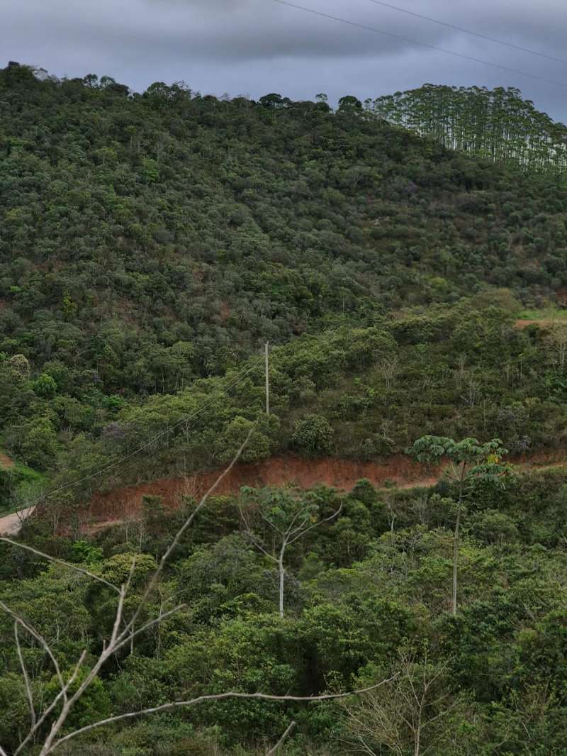 Terreno à Venda no bairro Zona Rural em Rio Preto imagem 36
