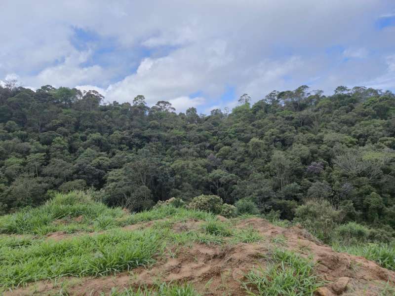 Terreno à Venda no bairro Zona Rural em Rio Preto imagem 11