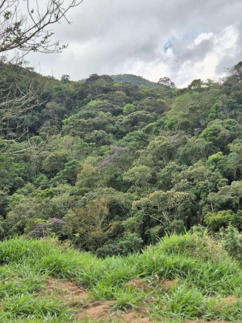 Terreno à Venda no bairro Zona Rural em Rio Preto imagem 30