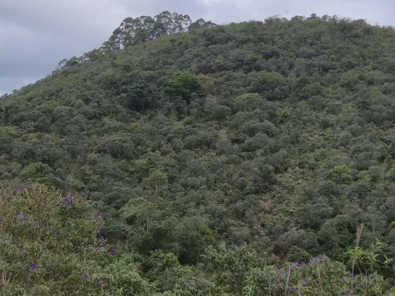 Terreno à Venda no bairro Zona Rural em Rio Preto imagem 10