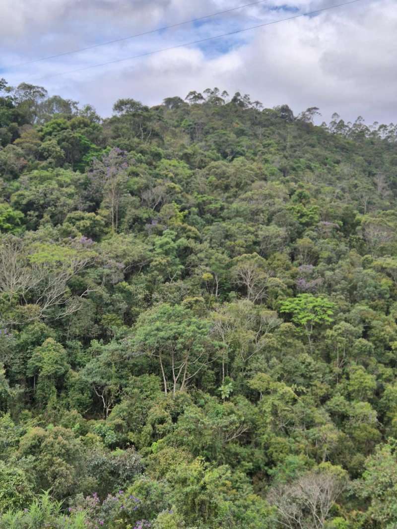 Terreno à Venda no bairro Zona Rural em Rio Preto imagem 34