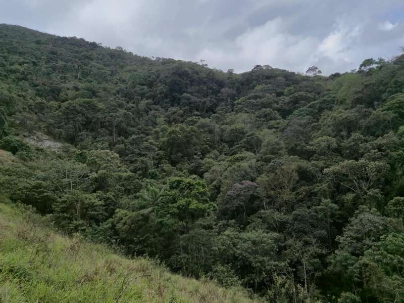 Terreno à Venda no bairro Zona Rural em Rio Preto imagem 26