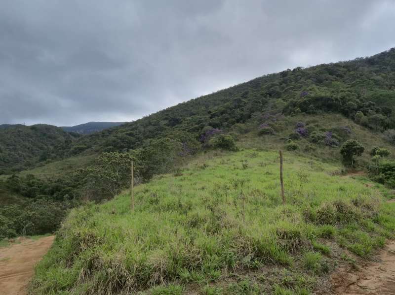 Terreno à Venda no bairro Zona Rural em Rio Preto imagem 9