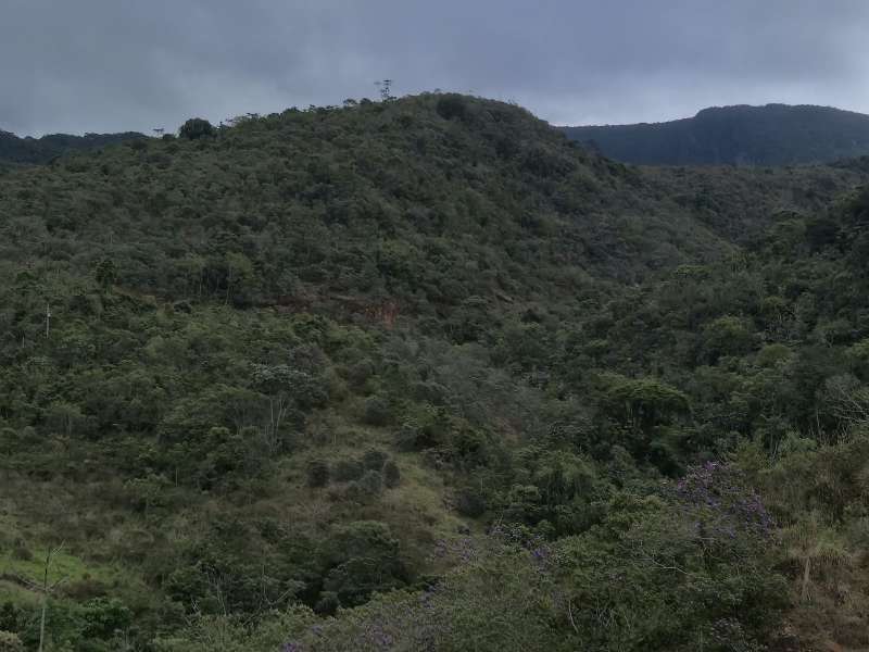 Terreno à Venda no bairro Zona Rural em Rio Preto imagem 17