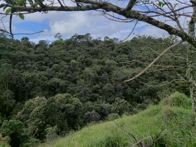 Terreno à Venda no bairro Zona Rural em Rio Preto imagem 23