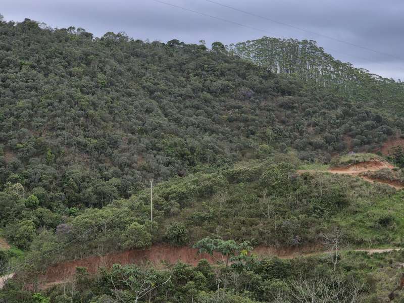 Terreno à Venda no bairro Zona Rural em Rio Preto imagem 31