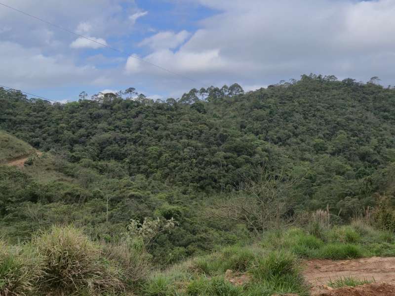 Terreno à Venda no bairro Zona Rural em Rio Preto imagem 46