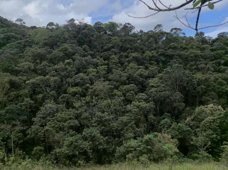 Terreno à Venda no bairro Zona Rural em Rio Preto imagem 32