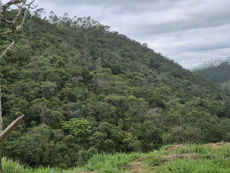 Terreno à Venda no bairro Zona Rural em Rio Preto imagem 13