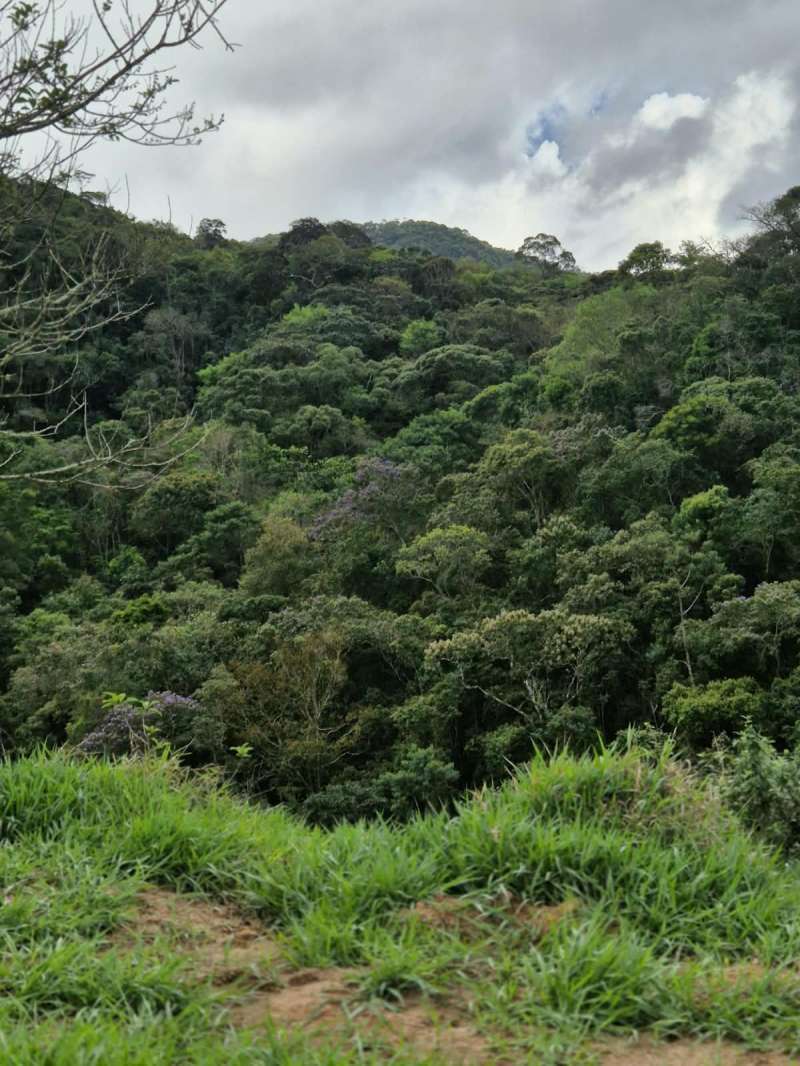 Terreno à Venda no bairro Zona Rural em Rio Preto imagem 2