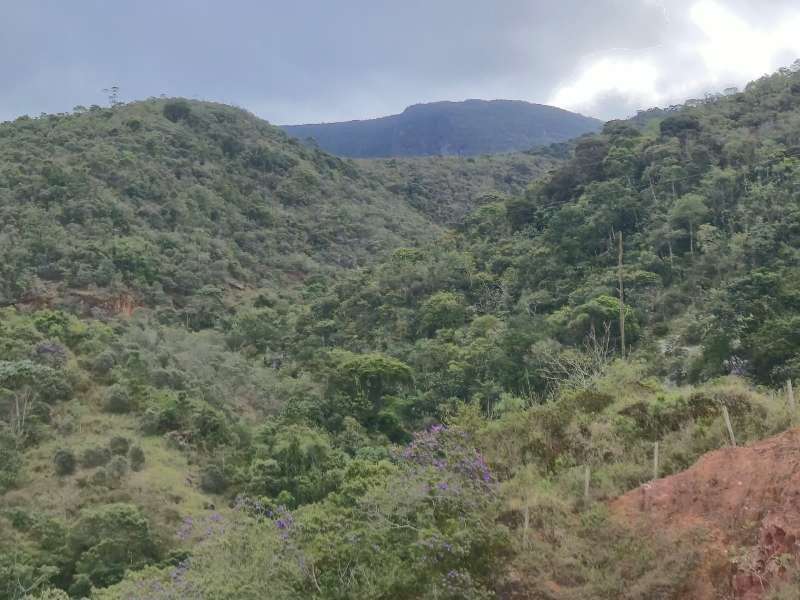 Terreno à Venda no bairro Zona Rural em Rio Preto imagem 40