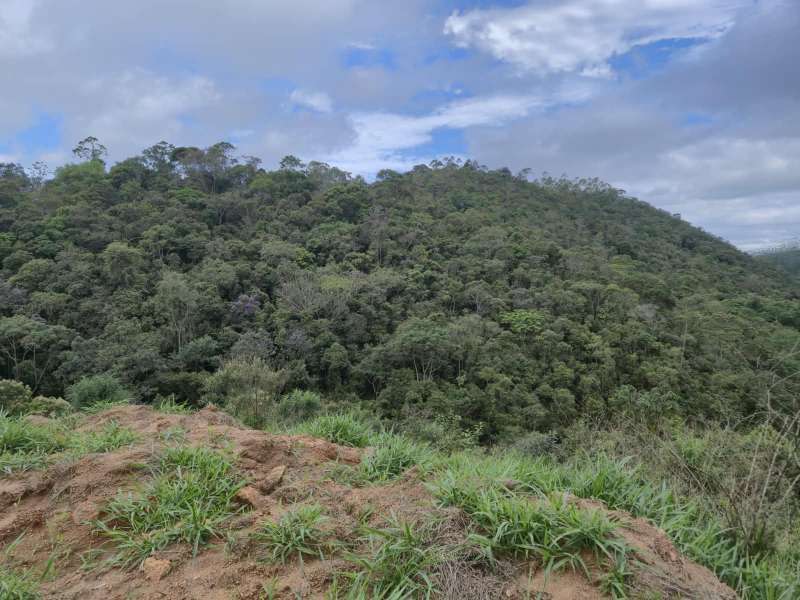 Terreno à Venda no bairro Zona Rural em Rio Preto imagem 37