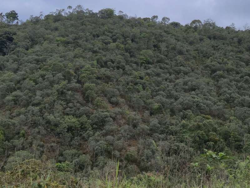 Terreno à Venda no bairro Zona Rural em Rio Preto imagem 21