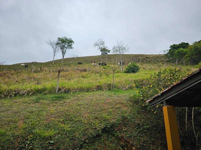 Sítio à Venda no bairro Parapeúna em Valença imagem 19