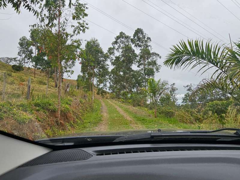 Sítio à Venda no bairro Parapeúna em Valença imagem 10