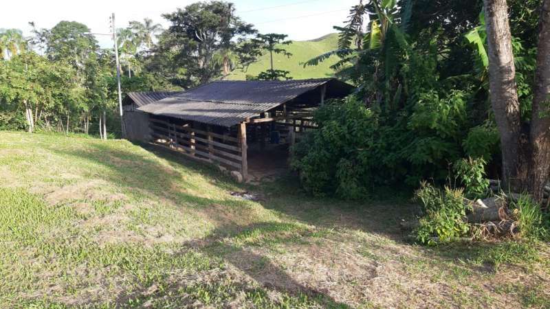 Sítio à Venda no bairro Parapeúna em Valença imagem 12