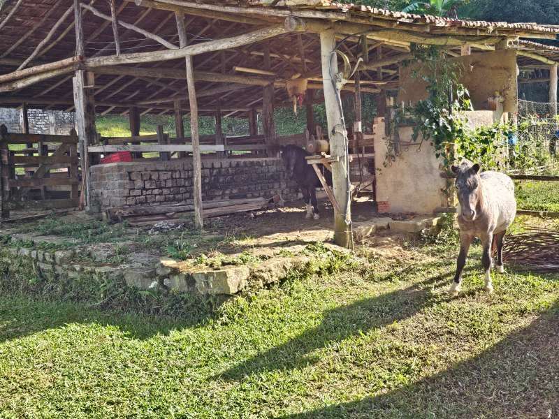 Sítio à Venda no bairro Parapeúna em Valença imagem 2