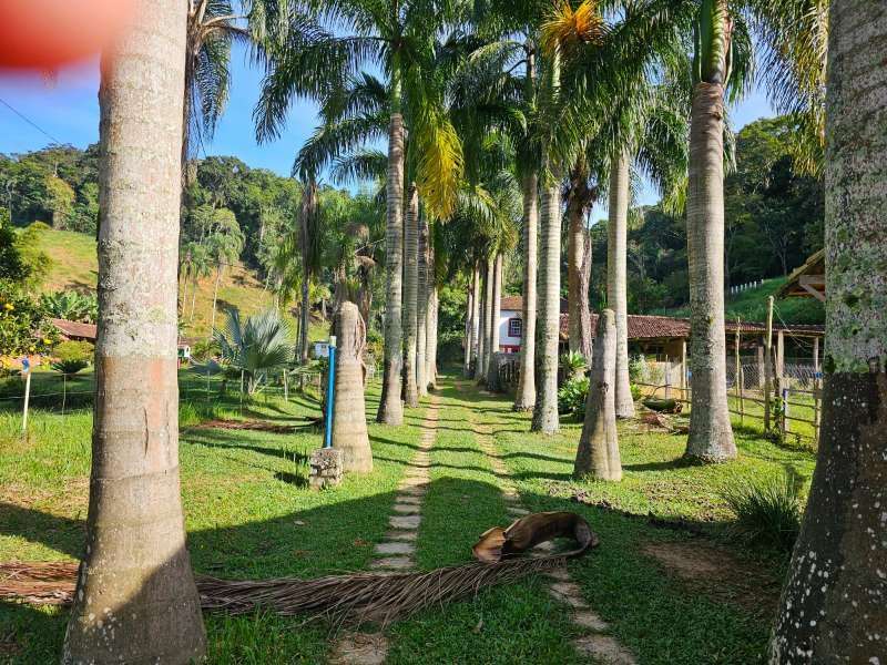 Sítio à Venda no bairro Parapeúna em Valença imagem 11
