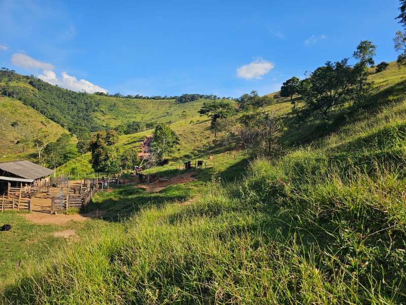Sítio à Venda no bairro Zona Rural em Rio Preto imagem 14