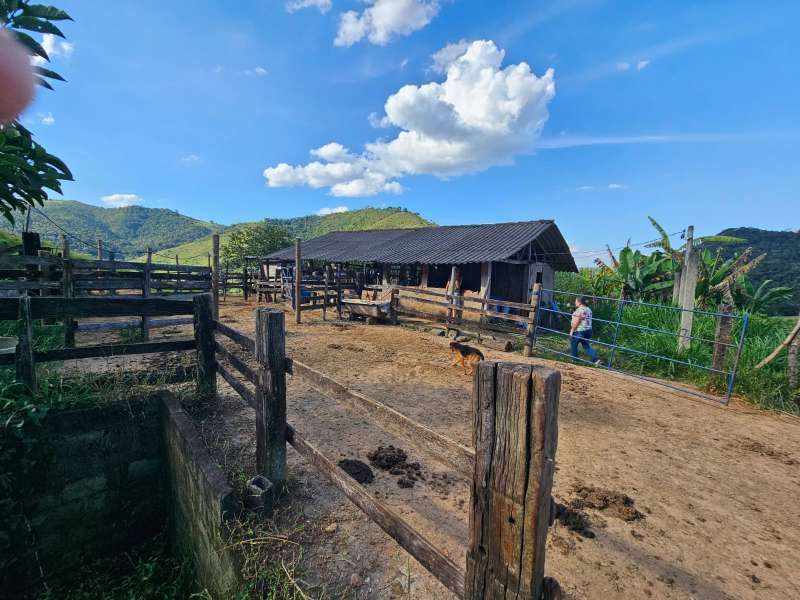 Sítio à Venda no bairro Zona Rural em Rio Preto imagem 19