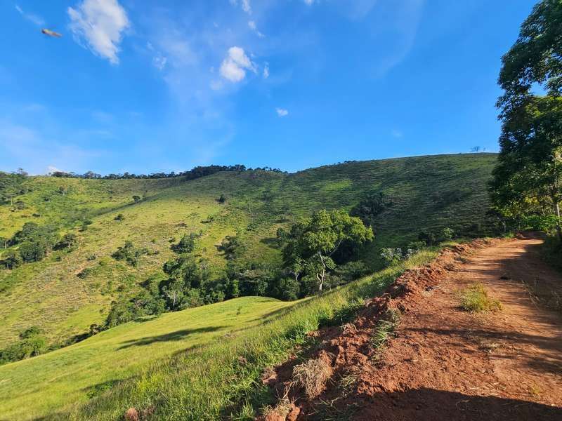 Sítio à Venda no bairro Zona Rural em Rio Preto imagem 9