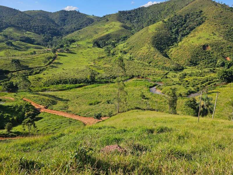 Sítio à Venda no bairro Zona Rural em Rio Preto imagem 11