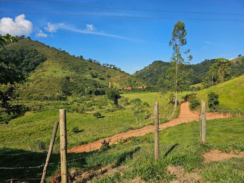 Sítio à Venda no bairro Zona Rural em Rio Preto imagem 3