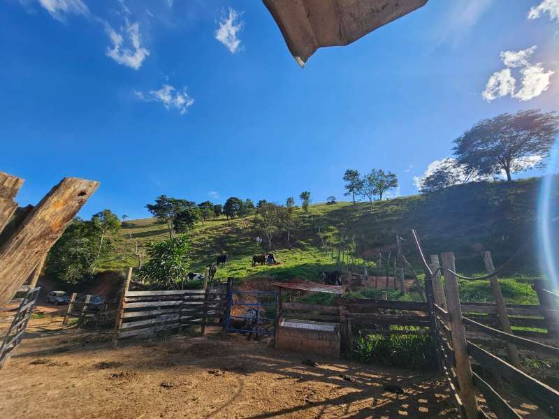 Sítio à Venda no bairro Zona Rural em Rio Preto imagem 12