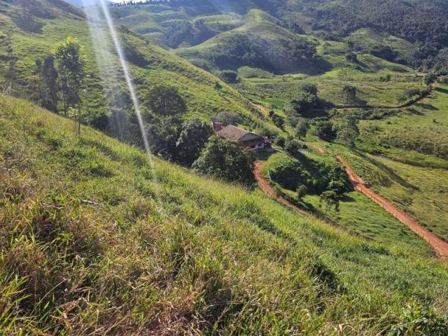 Sítio Venda Zona Rural em Rio Preto