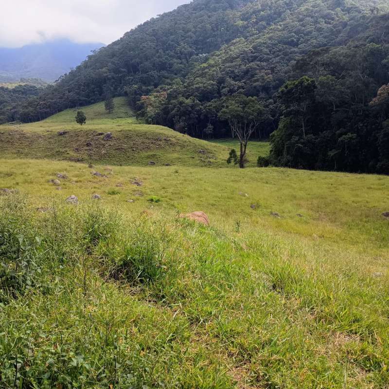 Sítio à Venda no bairro Zona Rural em Rio Preto imagem 4