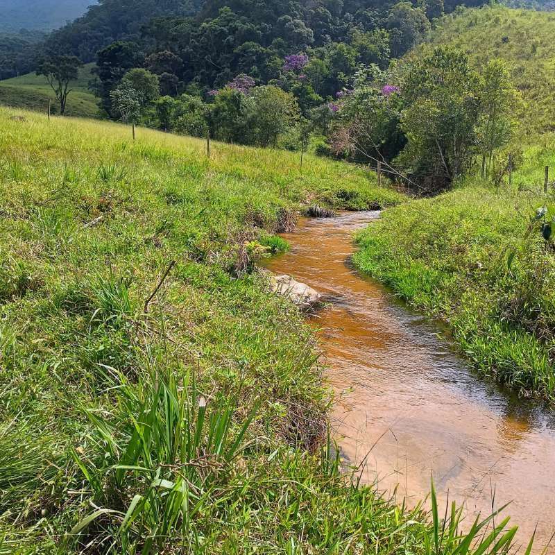 Sítio à Venda no bairro Zona Rural em Rio Preto imagem 7