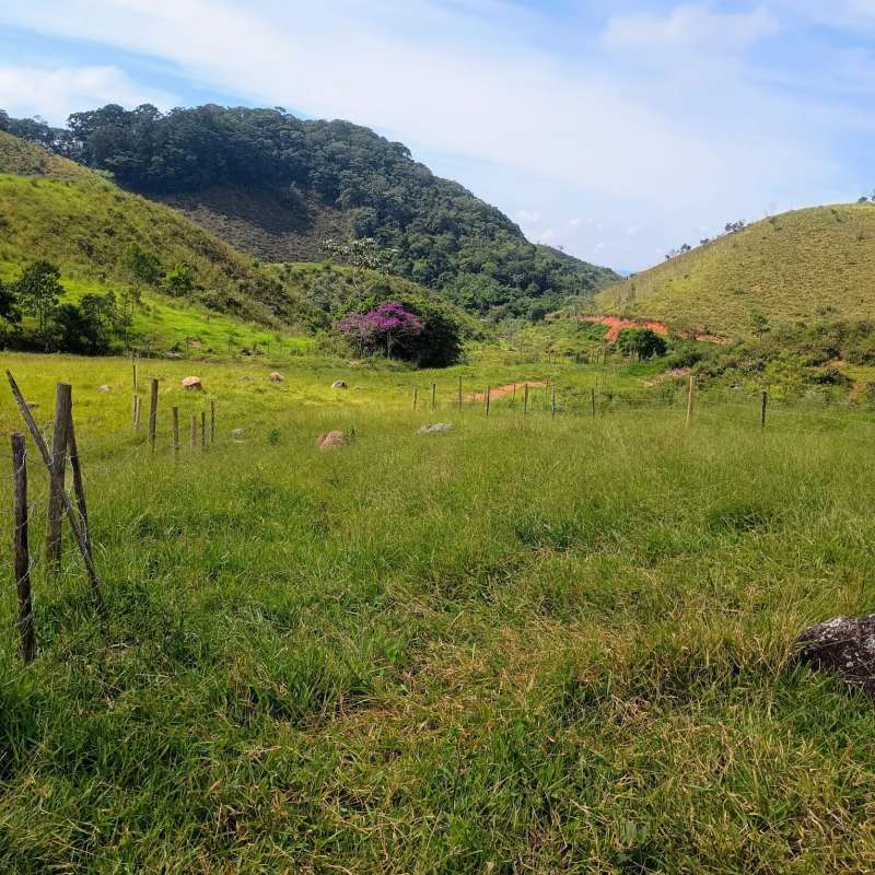 Sítio à Venda no bairro Zona Rural em Rio Preto imagem 6