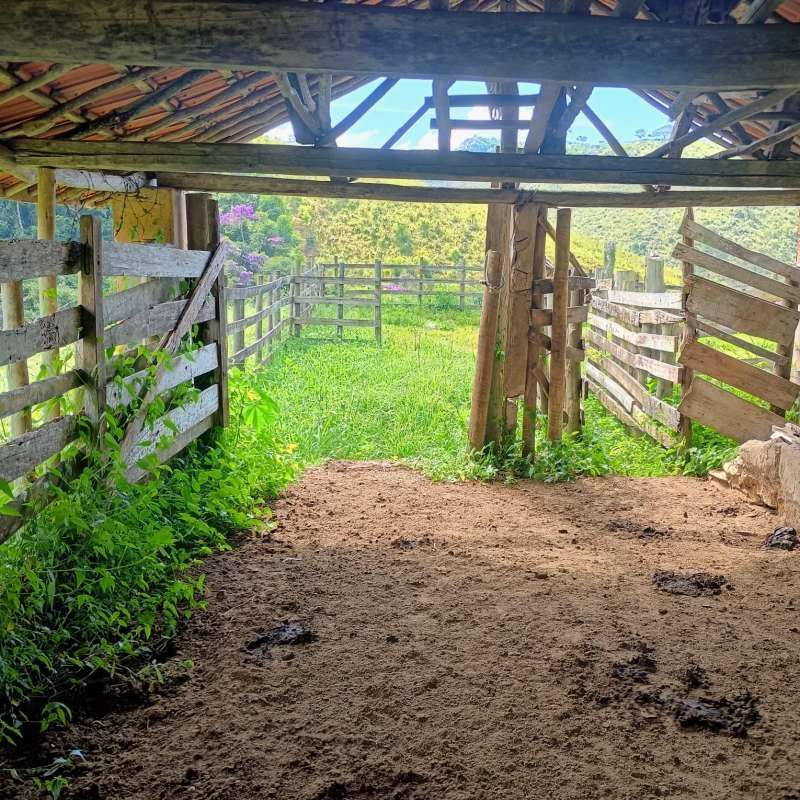 Sítio à Venda no bairro Zona Rural em Rio Preto imagem 19