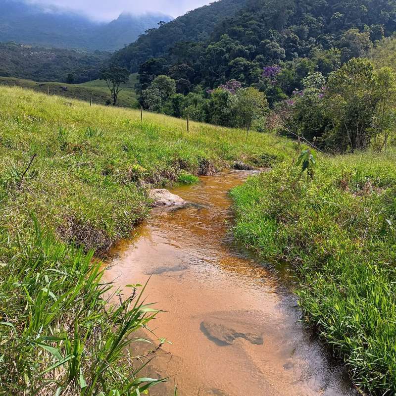 Sítio à Venda no bairro Zona Rural em Rio Preto imagem 3