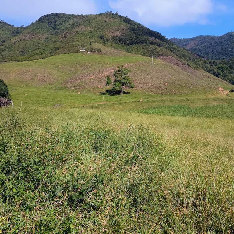 Sítio à Venda no bairro Zona Rural em Rio Preto imagem 20