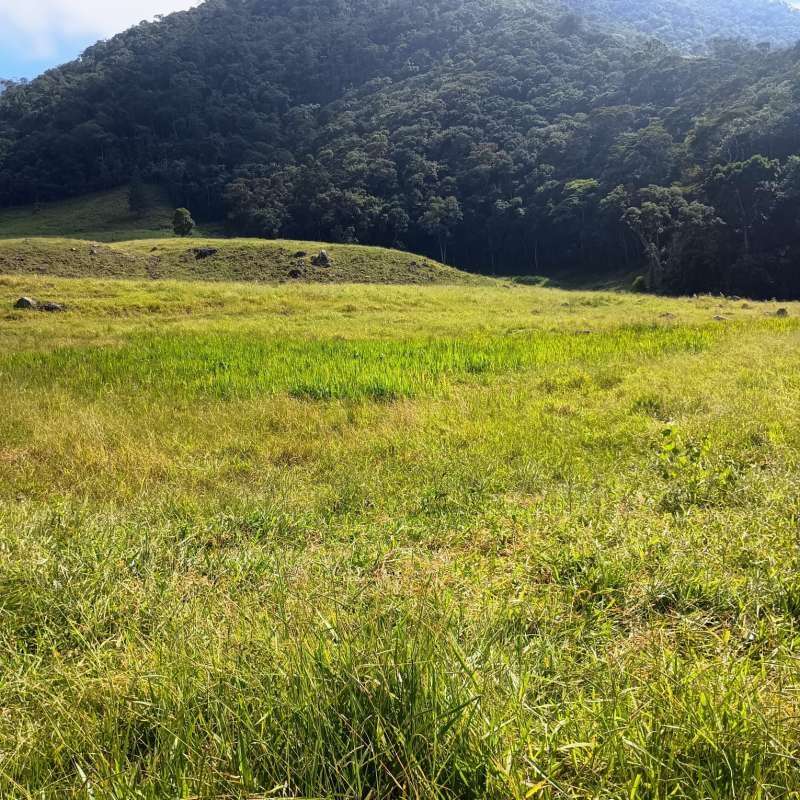 Sítio à Venda no bairro Zona Rural em Rio Preto imagem 15