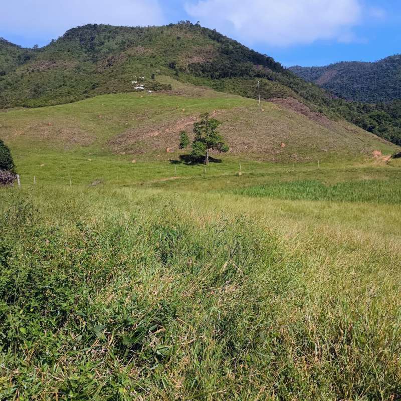 Sítio à Venda no bairro Zona Rural em Rio Preto imagem 18
