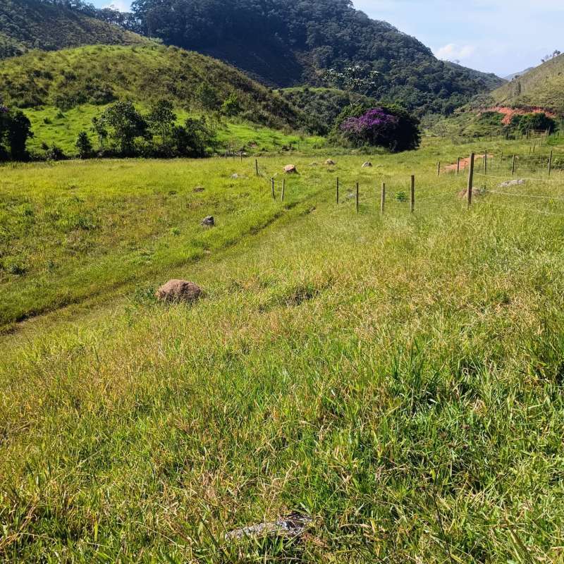 Sítio à Venda no bairro Zona Rural em Rio Preto imagem 16
