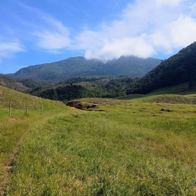 Sítio à Venda no bairro Zona Rural em Rio Preto imagem 10