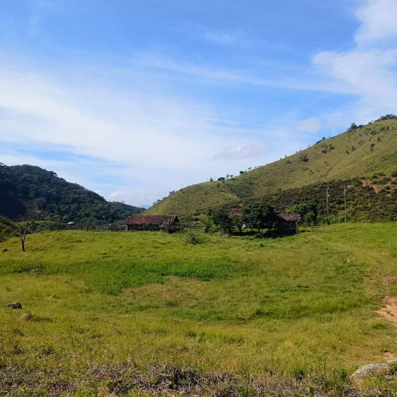 Sítio à Venda no bairro Zona Rural em Rio Preto imagem 5